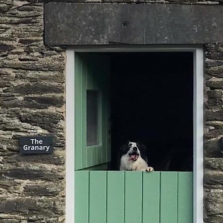 Dog Friendly Cottage, Geufron Farm Near Tywyn Bryn-crug Ngoại thất bức ảnh