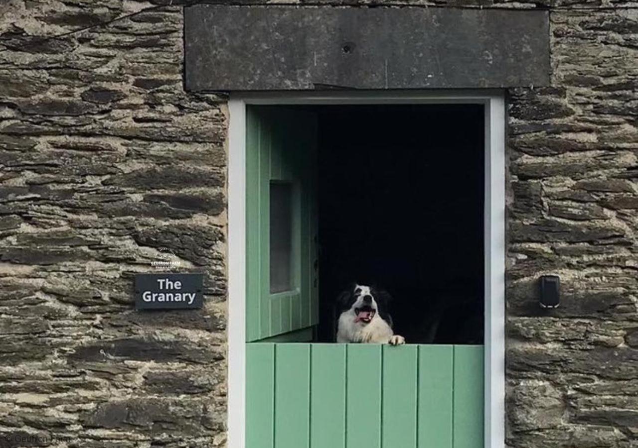 Dog Friendly Cottage, Geufron Farm Near Tywyn Bryn-crug Ngoại thất bức ảnh