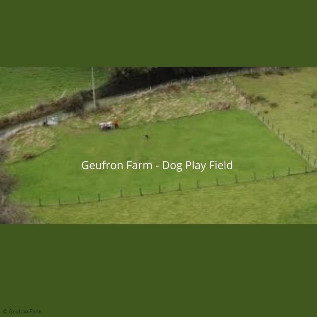 Dog Friendly Cottage, Geufron Farm Near Tywyn Bryn-crug Ngoại thất bức ảnh