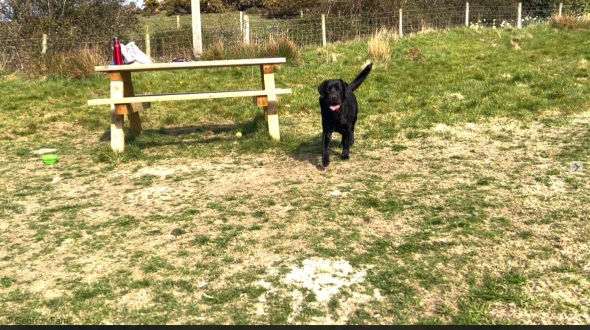 Dog Friendly Cottage, Geufron Farm Near Tywyn Bryn-crug Ngoại thất bức ảnh
