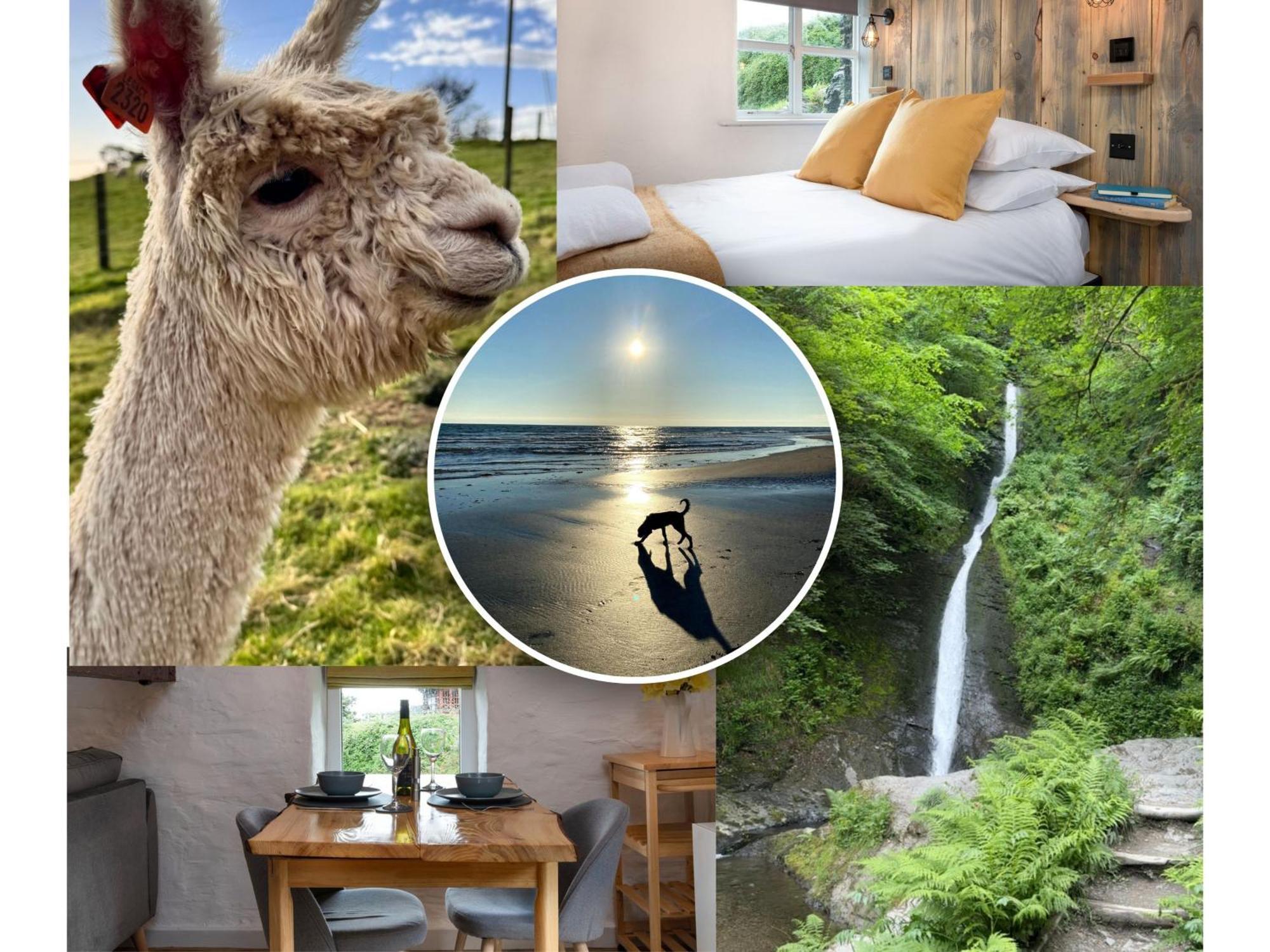 Dog Friendly Cottage, Geufron Farm Near Tywyn Bryn-crug Ngoại thất bức ảnh
